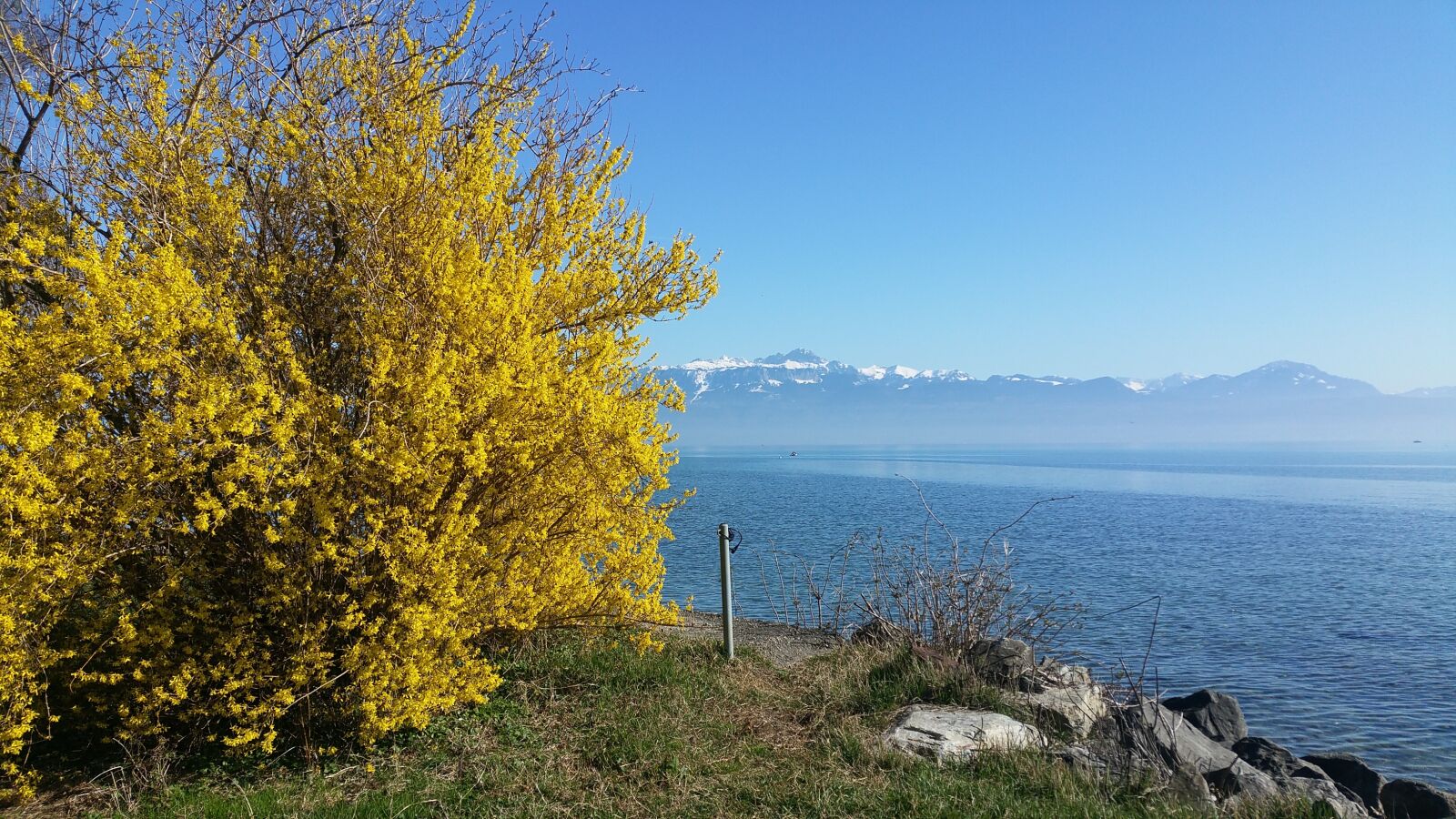 Samsung Galaxy S5 LTE-A sample photo. Lake geneva, lausanne, morges photography