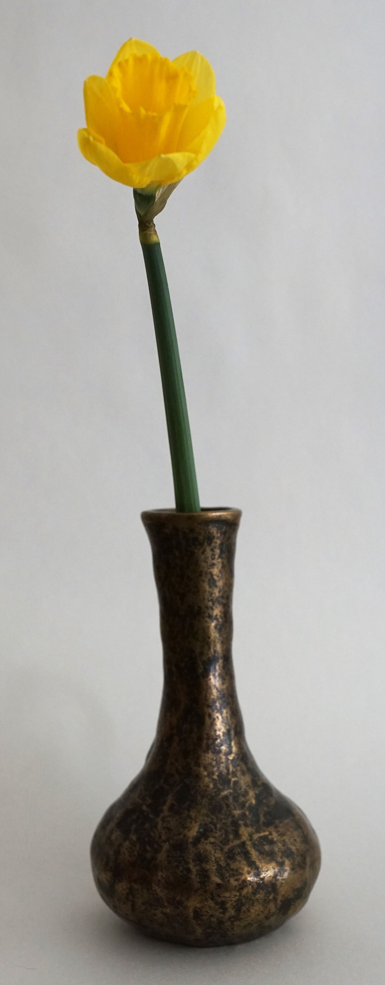Sony ILCA-77M2 + Sony DT 16-50mm F2.8 SSM sample photo. Background, vase, retro photography