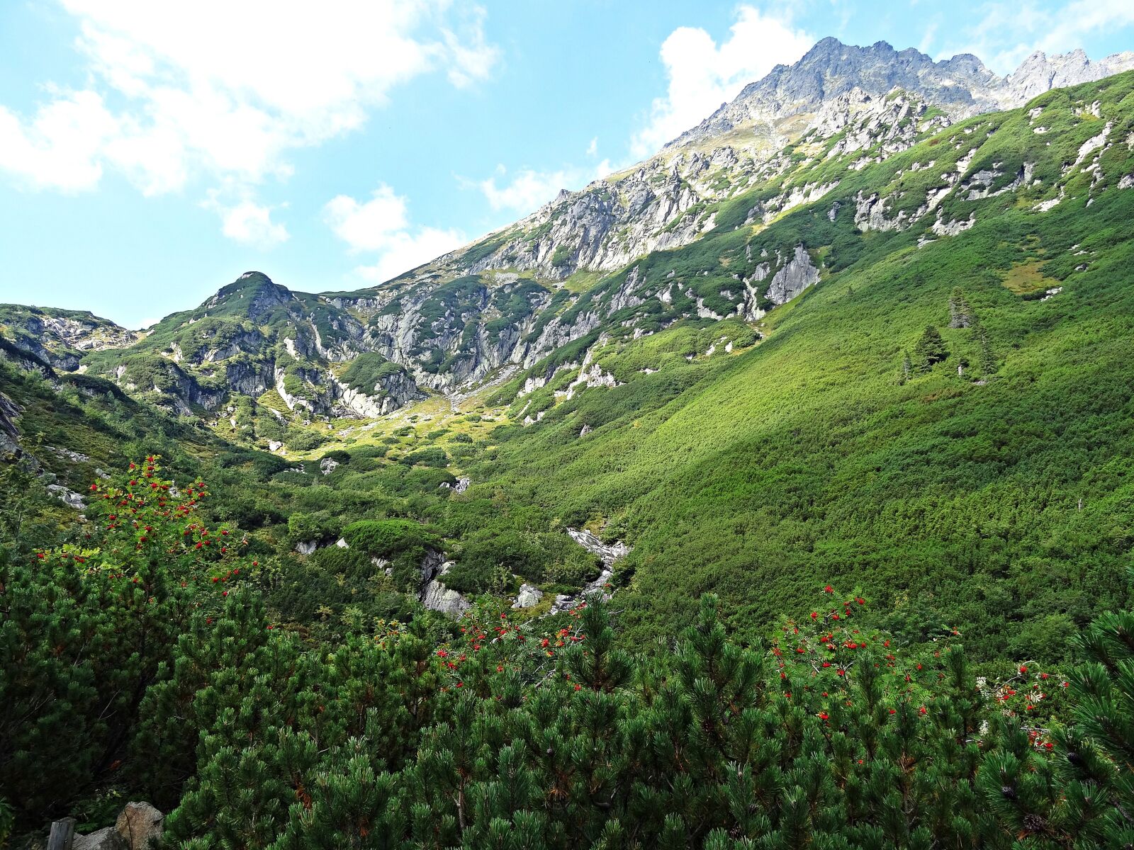 Sony DSC-HX50 sample photo. Landscape, mountains, nature photography