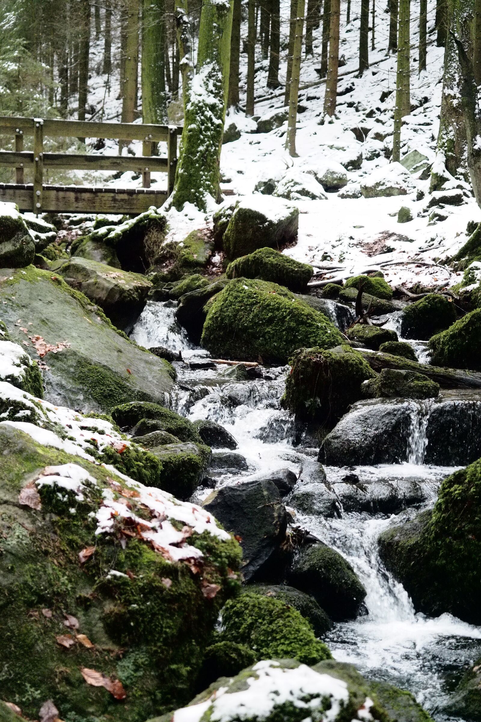 Olympus OM-D E-M5 II + Olympus M.Zuiko Digital ED 12-40mm F2.8 Pro sample photo. Winter, bach, bridge photography