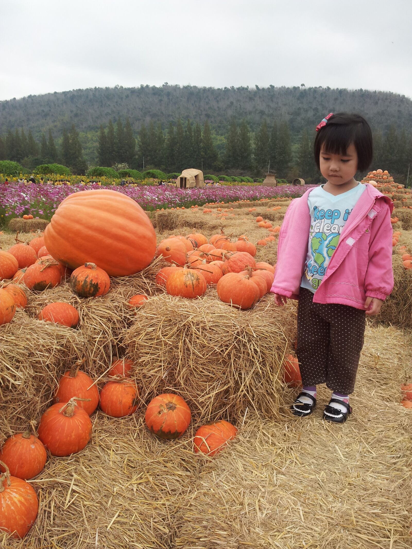 Samsung Galaxy S2 sample photo. Kids, pumpkin, smile photography