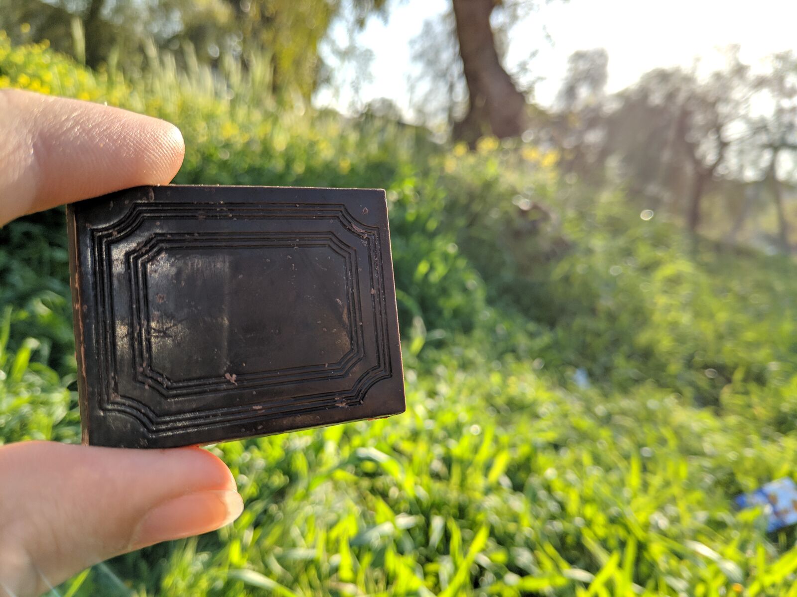Xiaomi POCO F1 sample photo. Chocolate, grass, nature photography