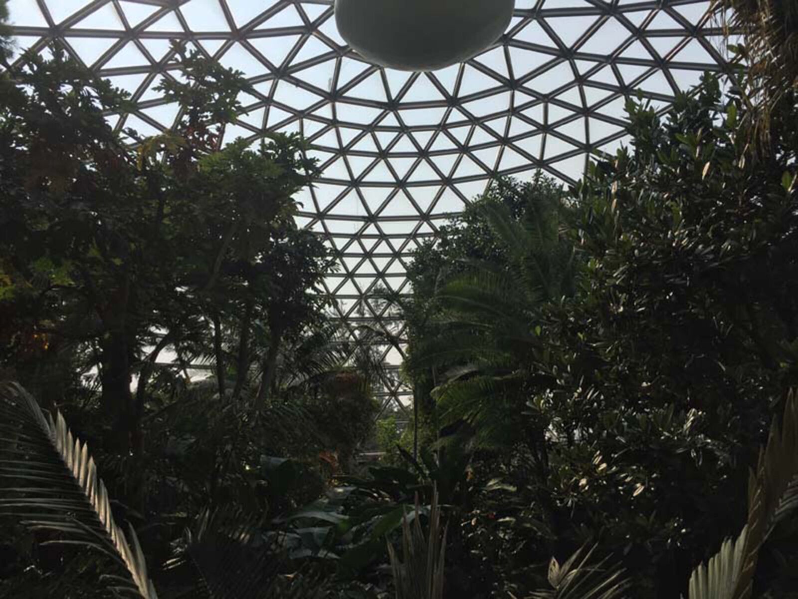 iPhone 6 back camera 4.15mm f/2.2 sample photo. Building, photograph, trees, tropical photography