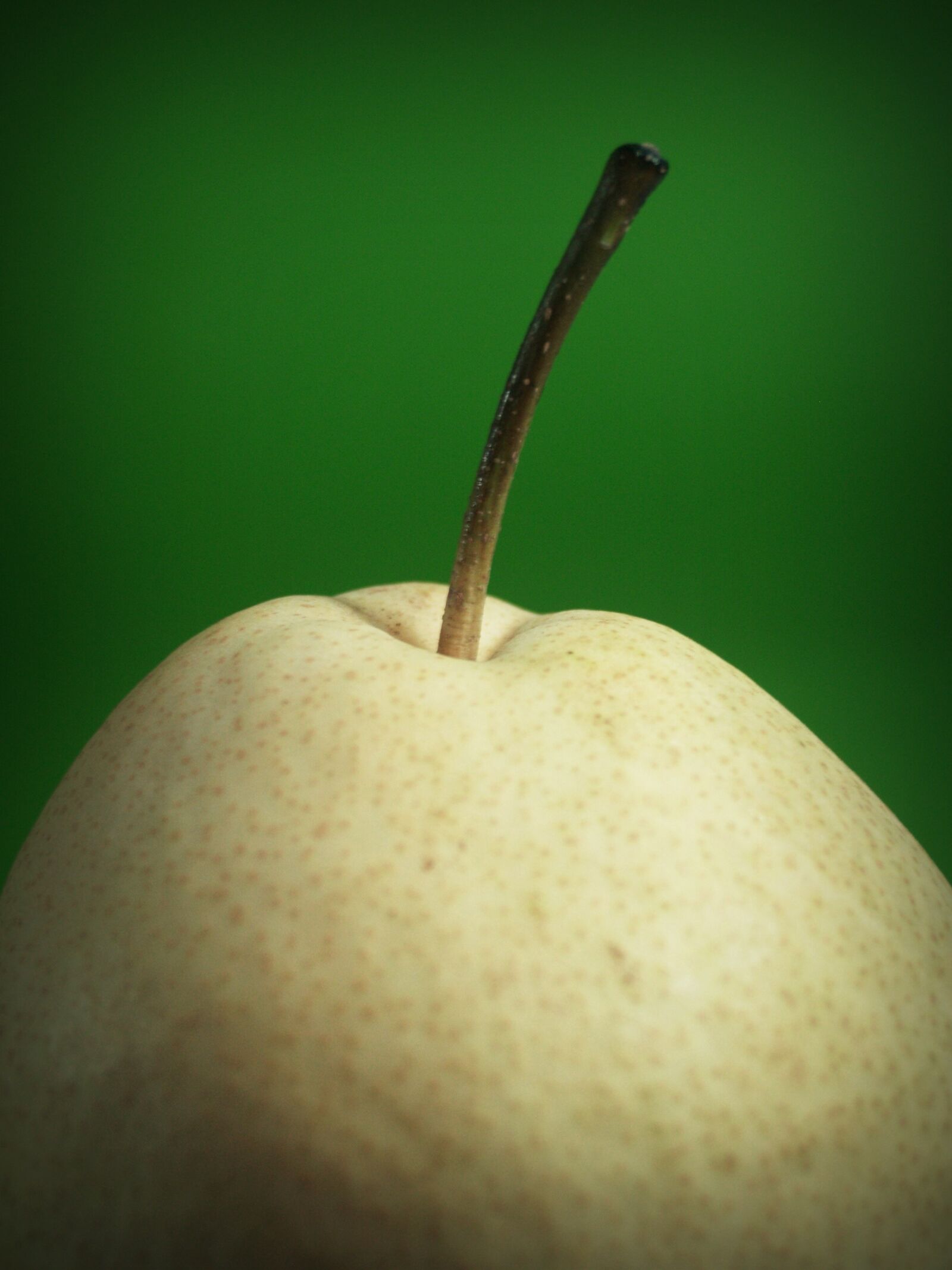 Olympus E-300 (EVOLT E-300) sample photo. Pear, asian, nashi photography