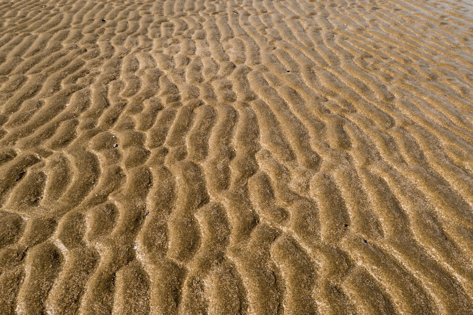Panasonic DC-TZ200 sample photo. Ripples, beach, endless photography