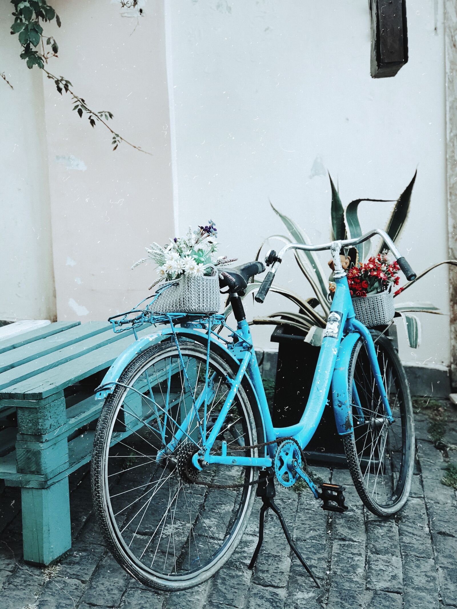 Apple iPhone 7 Plus sample photo. Bicycle, fun, bike photography