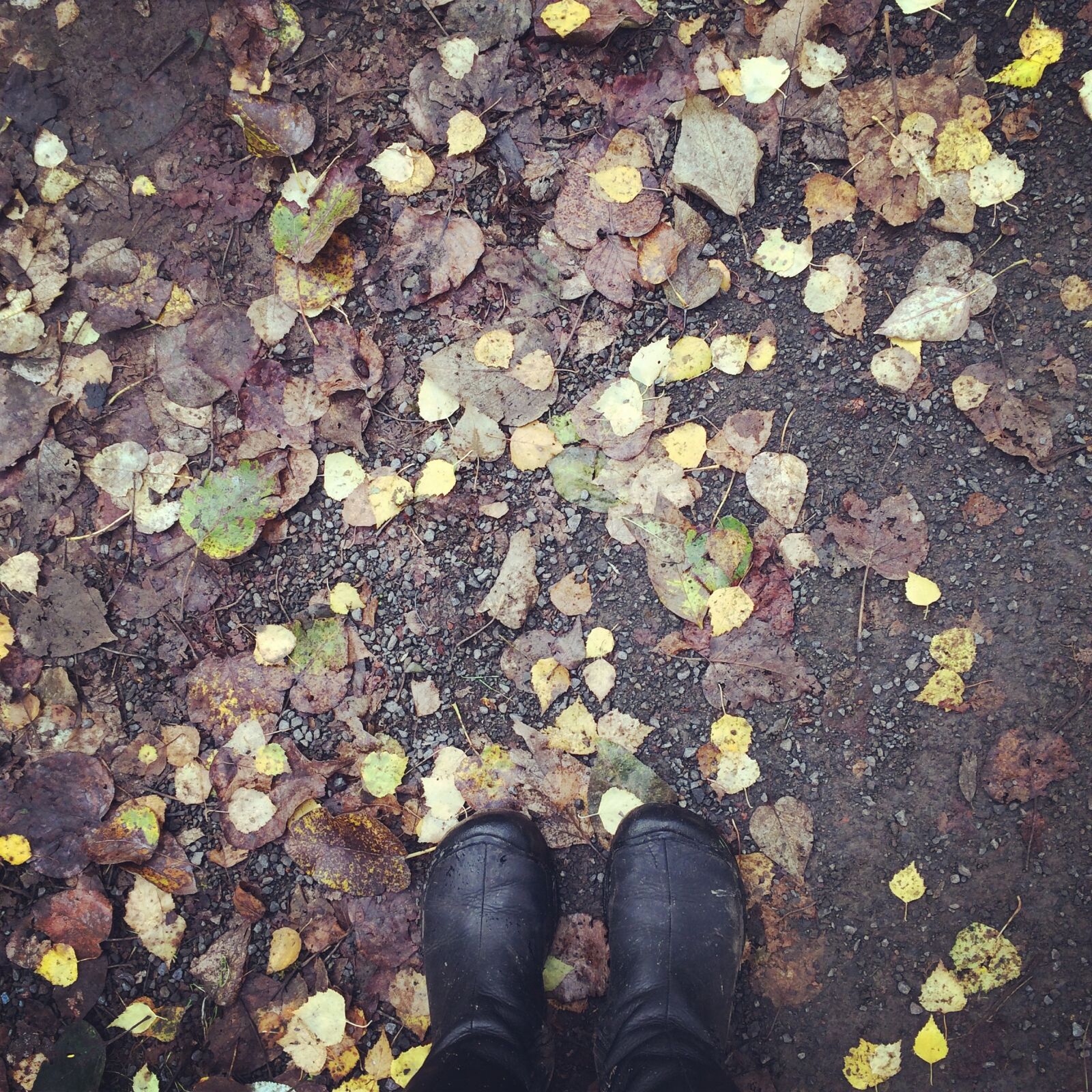iPhone 5s back camera 4.12mm f/2.2 sample photo. Autumn, fall, boots photography