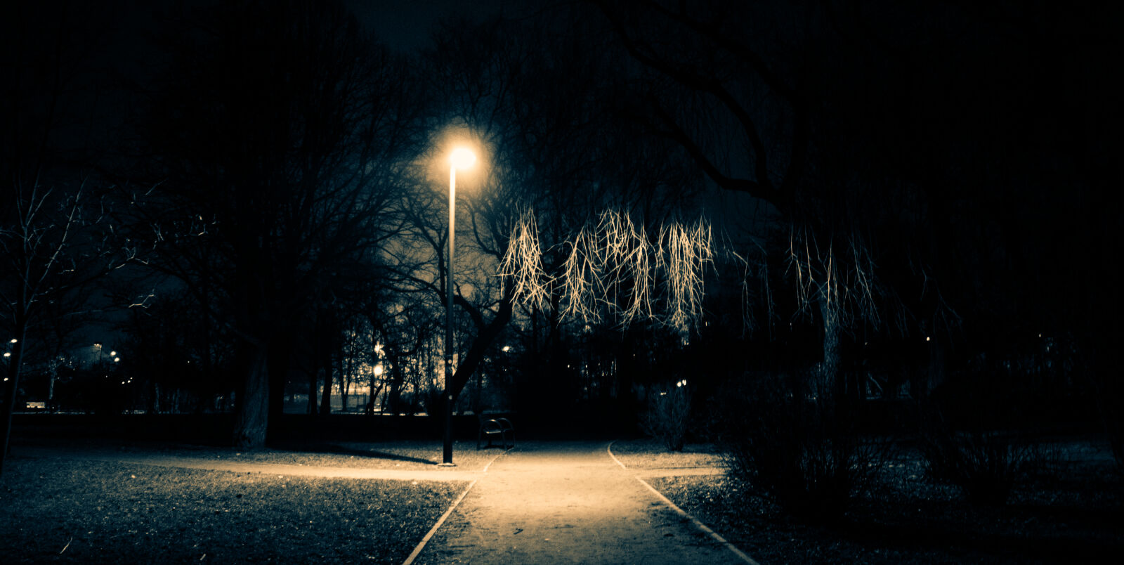 Canon EOS 600D (Rebel EOS T3i / EOS Kiss X5) sample photo. Night, park, walk photography