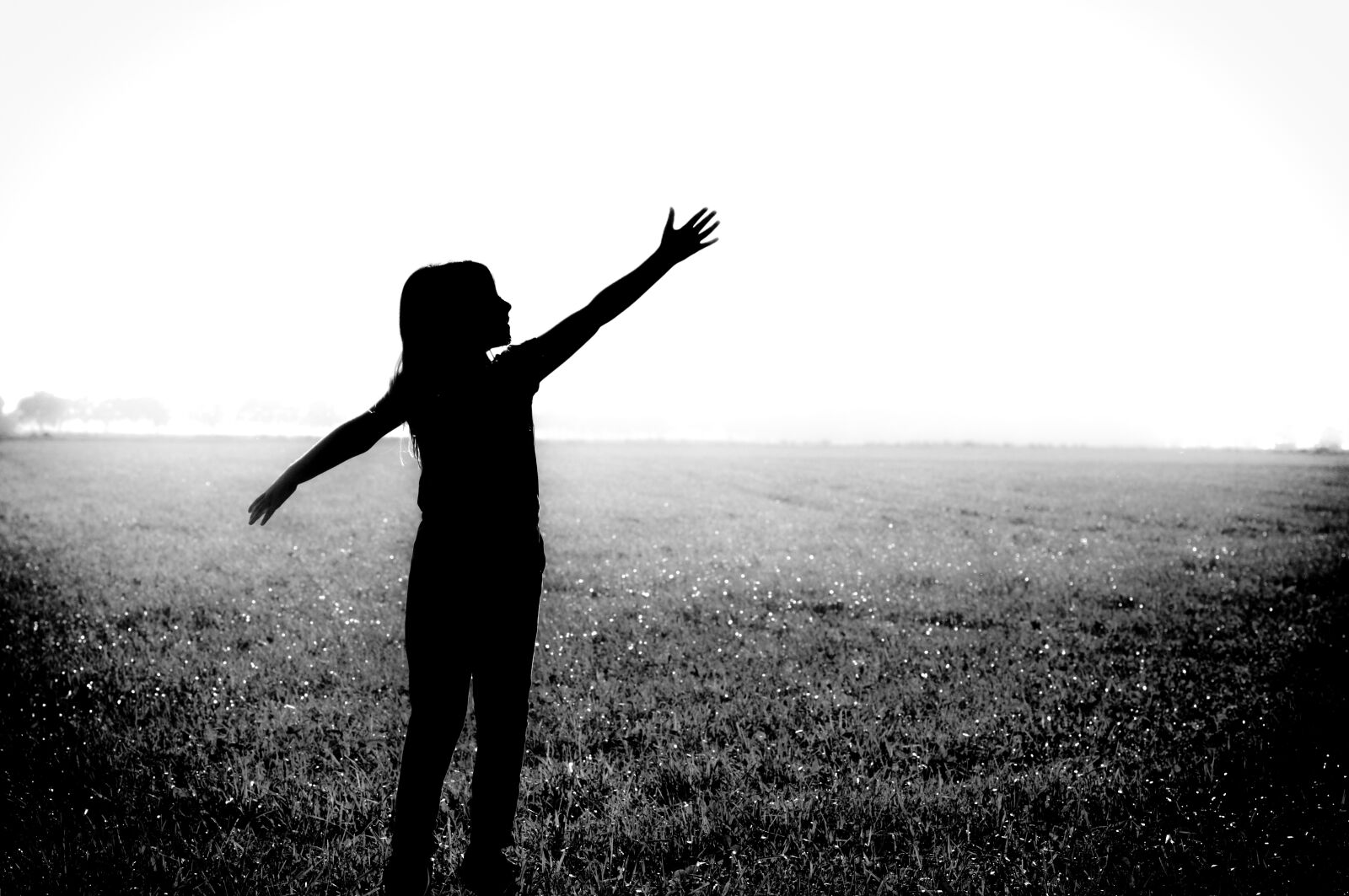 Nikon D610 sample photo. Black and white, silhouette photography