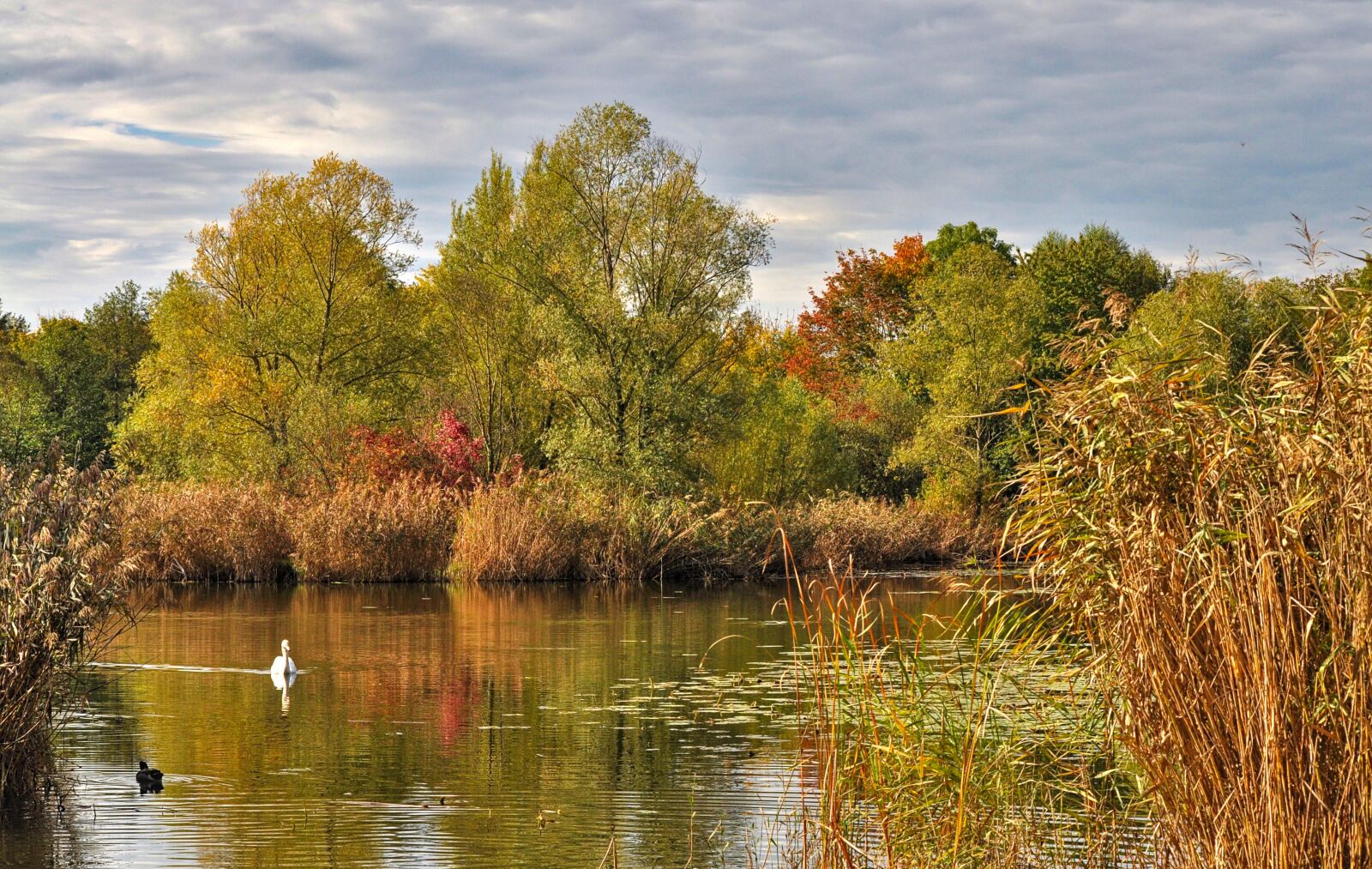 Nikon D5000 sample photo. Idyll, lake, rest photography