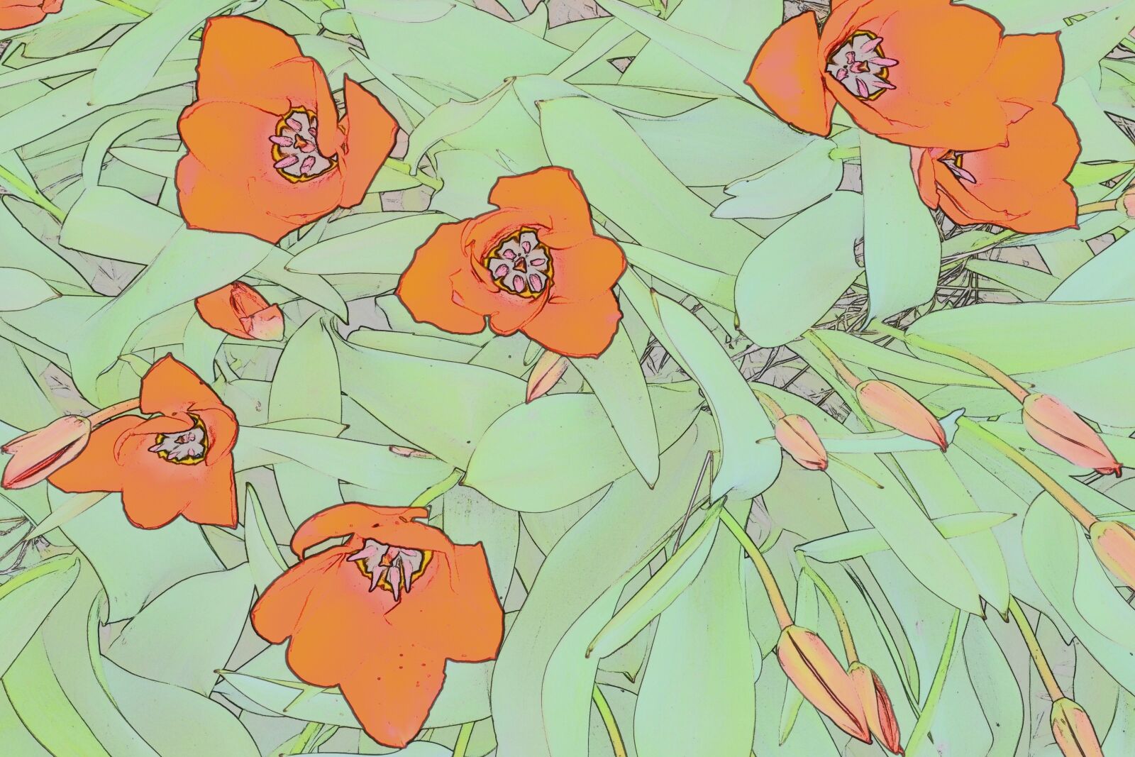 Nikon D5100 sample photo. Background, tulips, design photography
