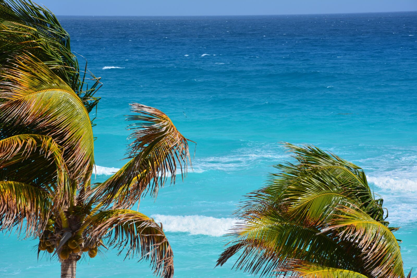 Nikon D7100 sample photo. Beach, water, blue photography