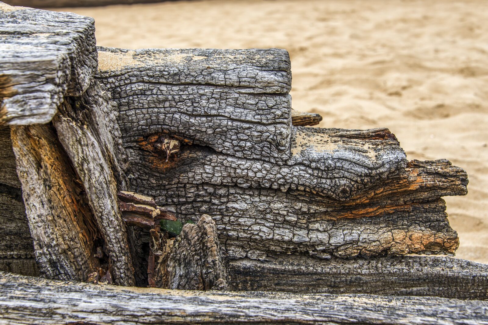 Nikon D610 sample photo. Texture, texture wood, wood photography