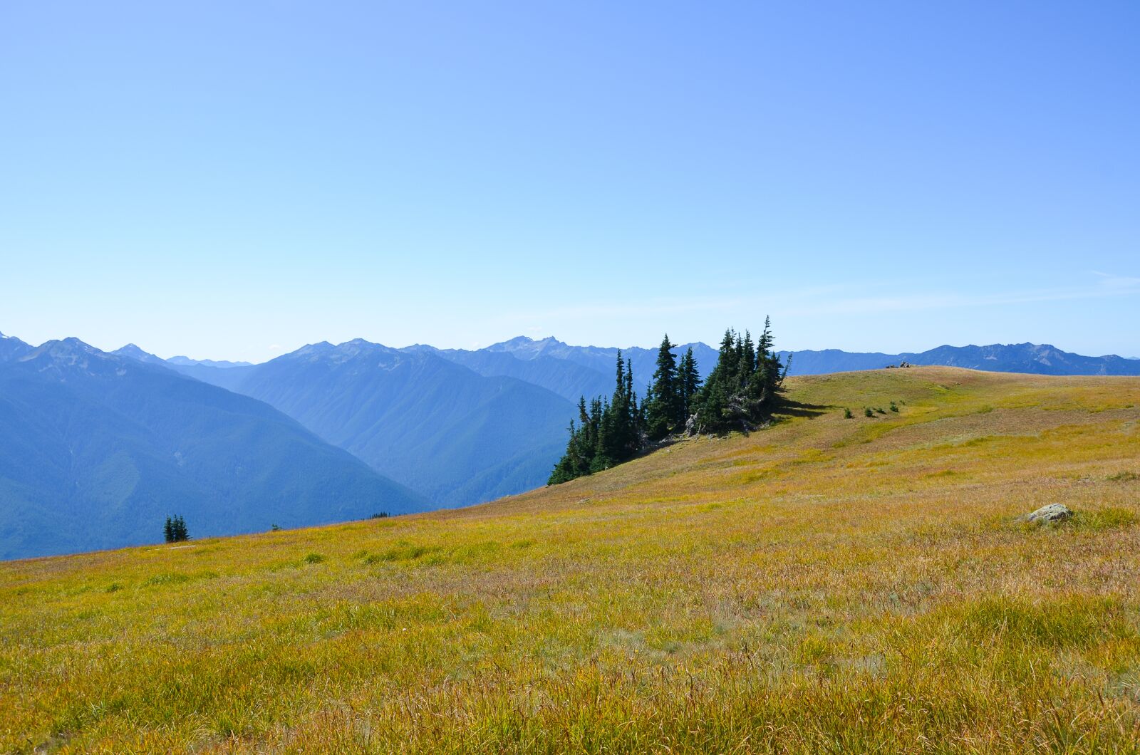 Nikon D5100 sample photo. Usa, america, washington photography