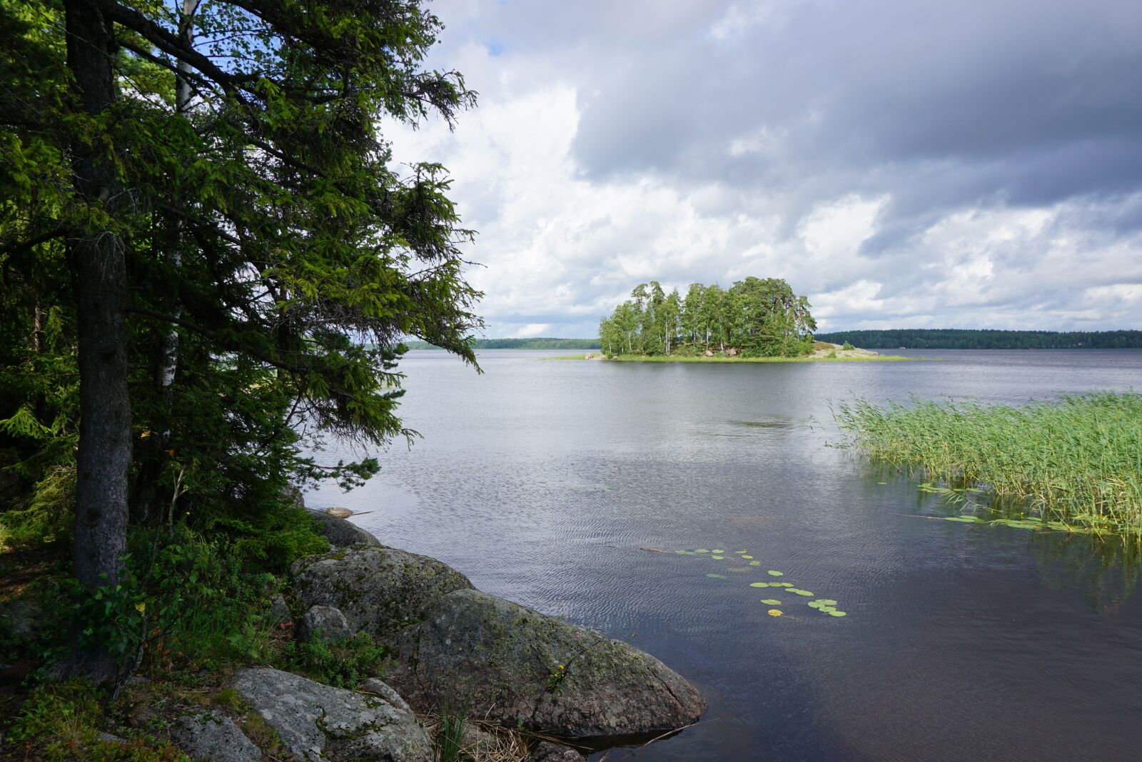Sony a6000 sample photo. Vyborg, park, mon repos photography