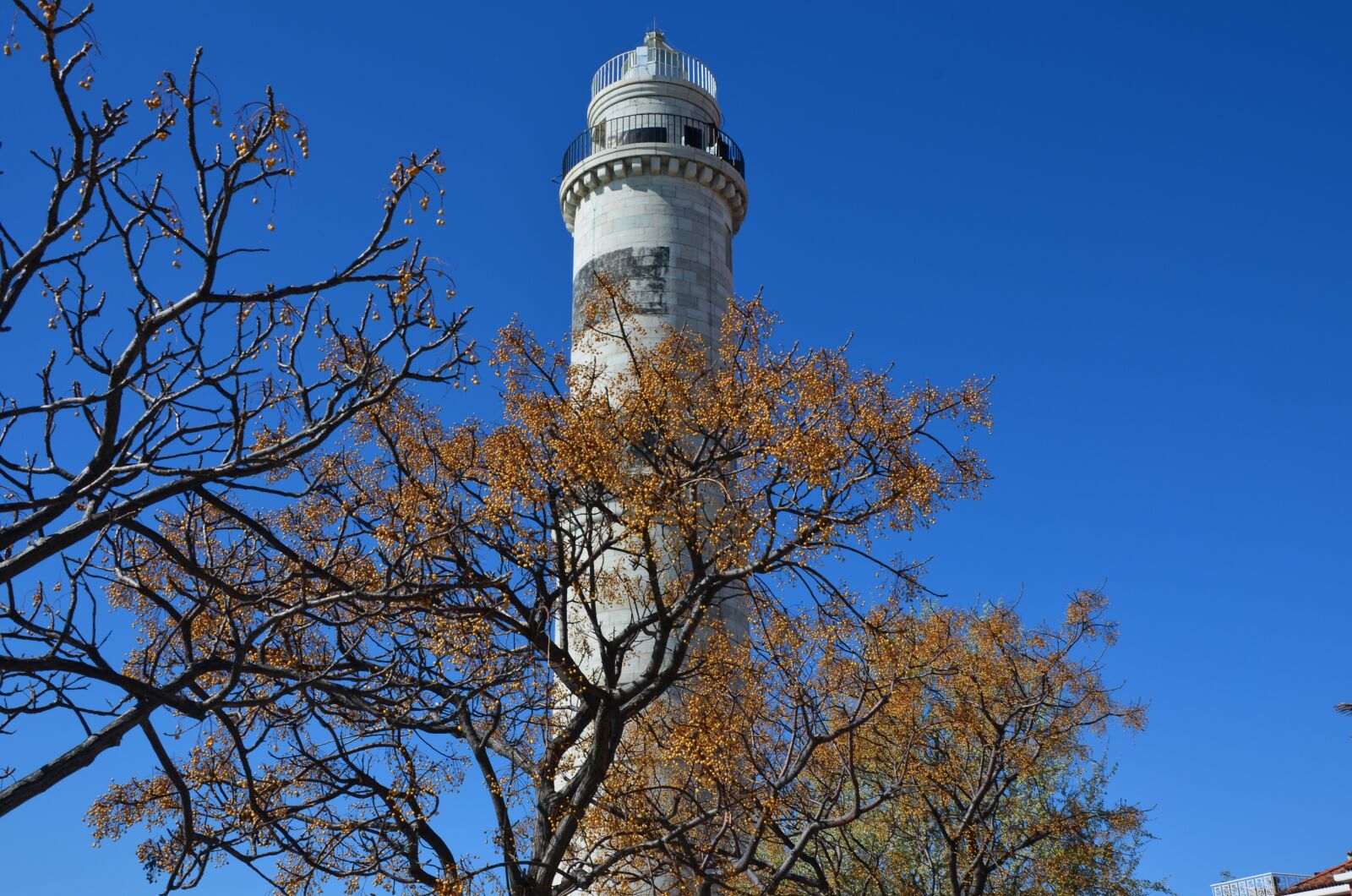 Nikon D5100 sample photo. Tree, sky, outdoors photography