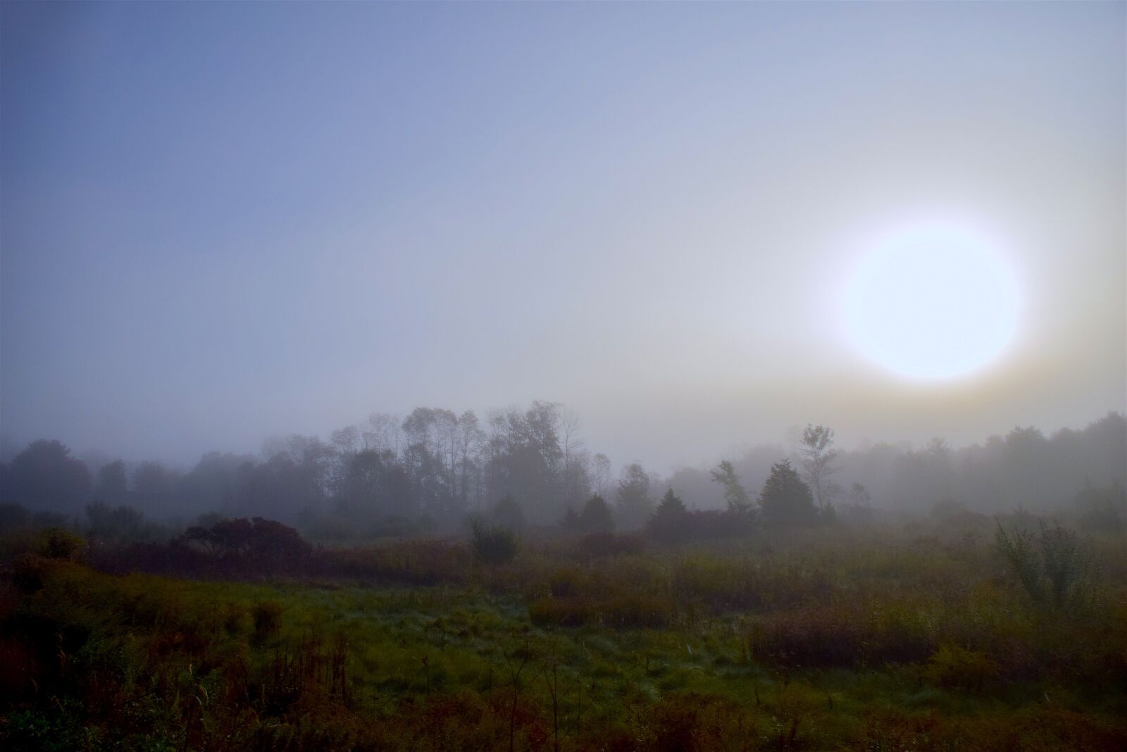 Nikon D3300 sample photo. Sun, mist, field photography