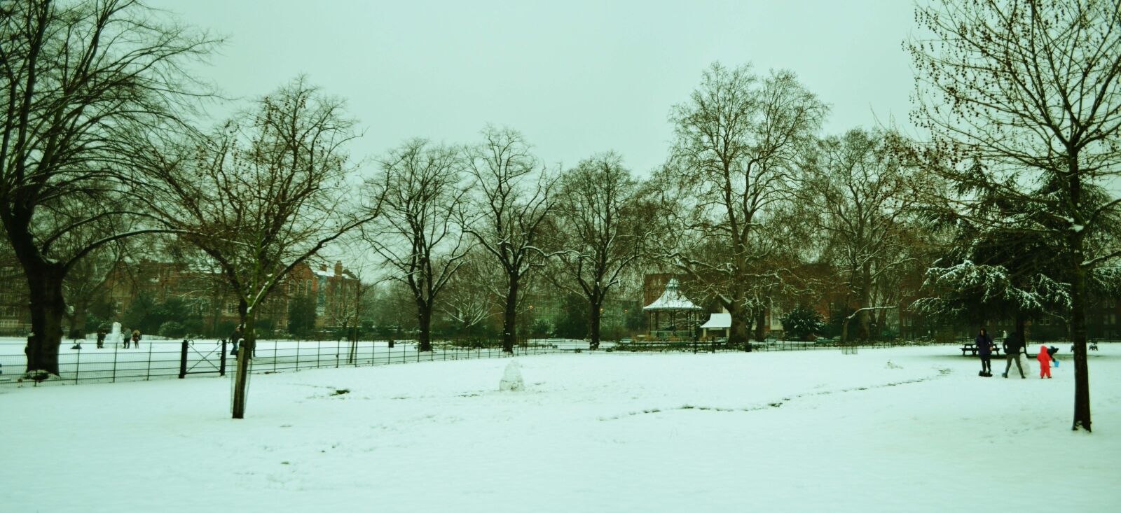 Nikon D5100 sample photo. London, park, snow photography