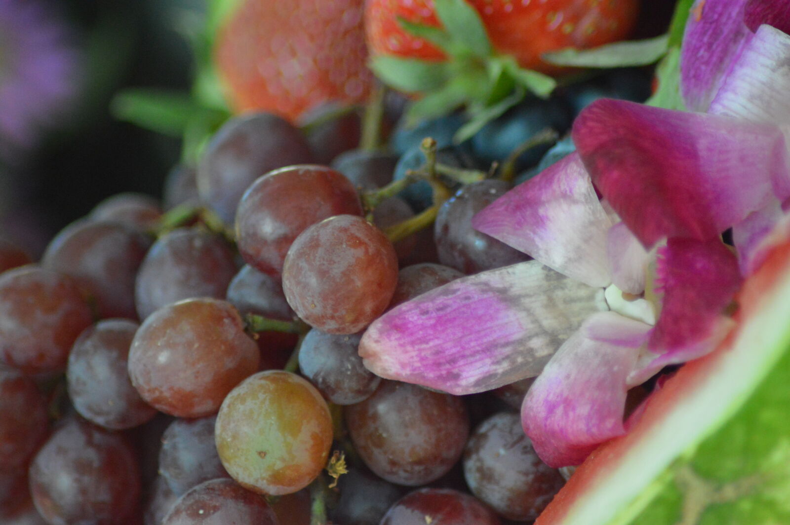 Nikon D3200 sample photo. Food, photography photography