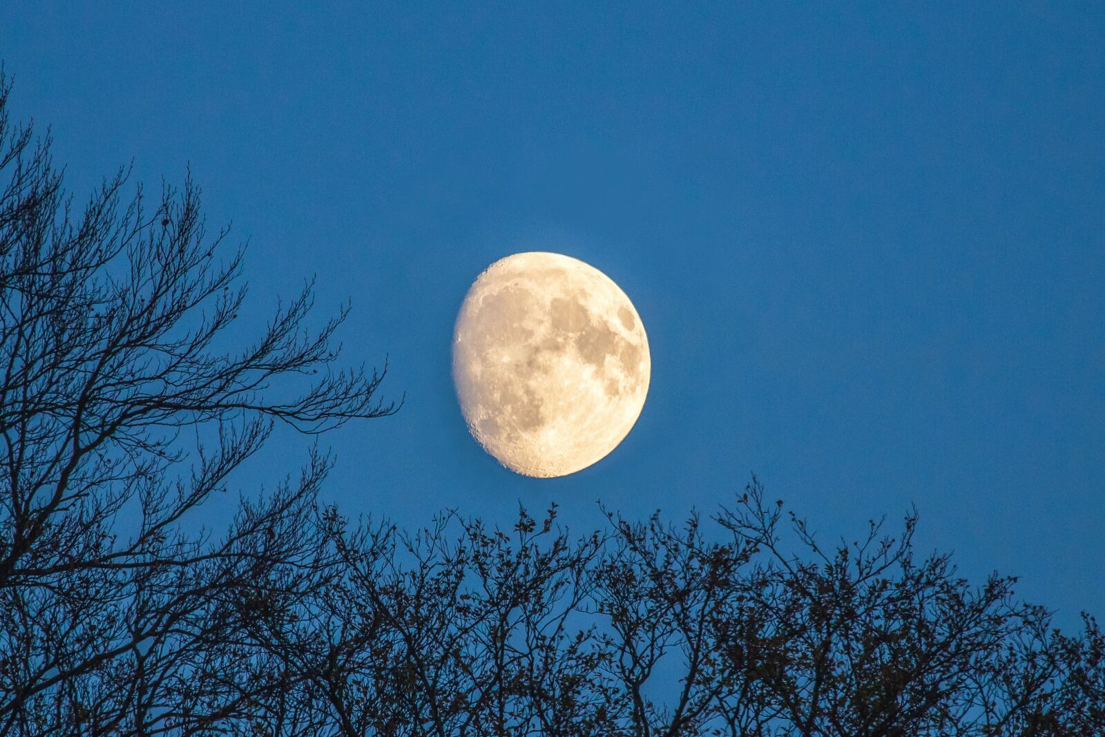 Canon EOS 60D sample photo. Month, great, sky photography