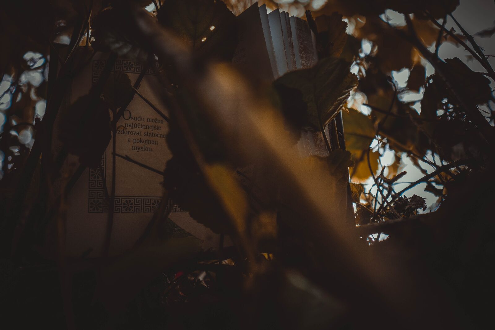 Sony a6400 + Sigma 16mm F1.4 DC DN | C sample photo. Kettlebell, trening, ci photography