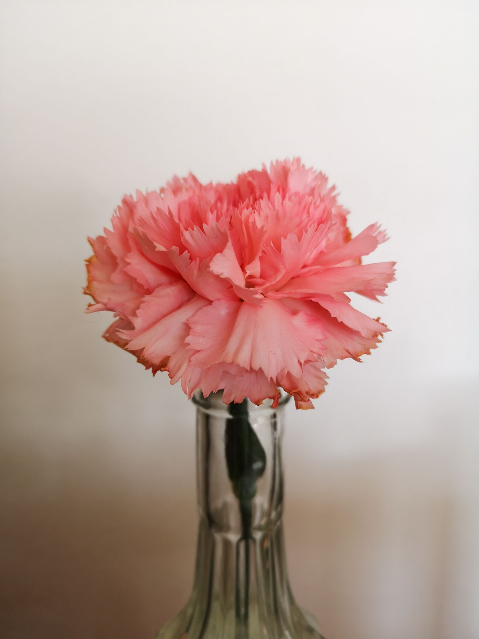 HUAWEI CLT-L29 sample photo. Flower, carnation, spring photography