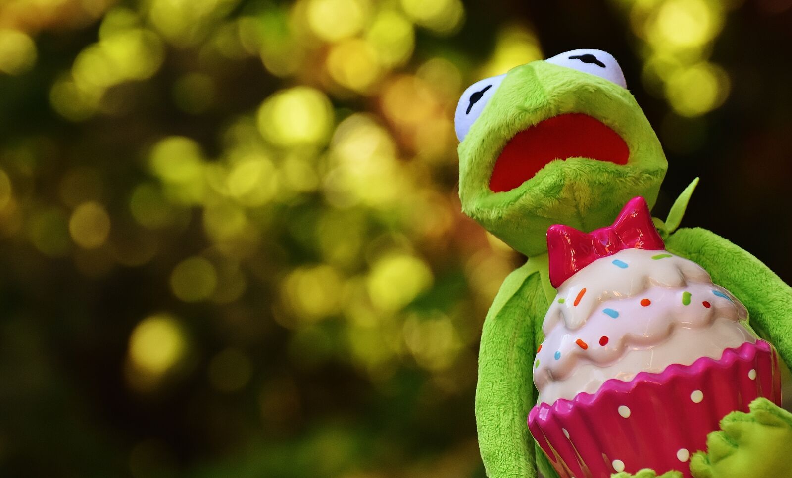 Nikon D7200 sample photo. Kermit, frog, cupcake photography