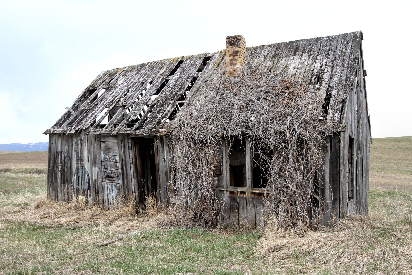 Canon EF-S 10-22mm F3.5-4.5 USM sample photo. Old farm house, decay photography