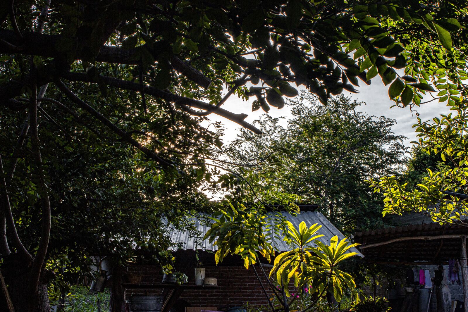 Canon EOS 600D (Rebel EOS T3i / EOS Kiss X5) sample photo. Landscape, water, nature photography