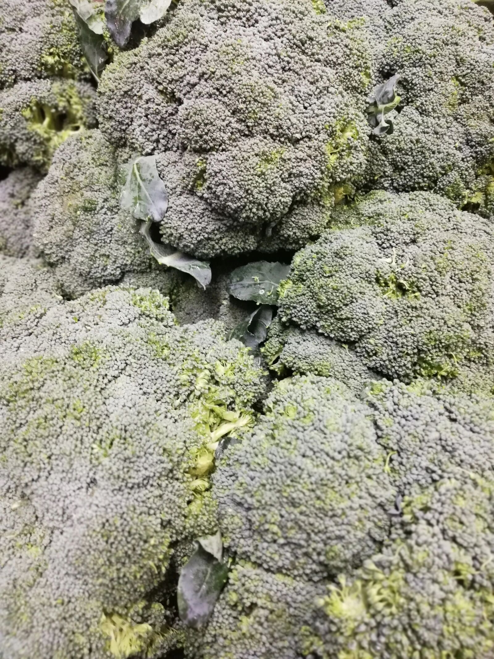 HUAWEI P20 lite sample photo. Broccoli, green, food photography