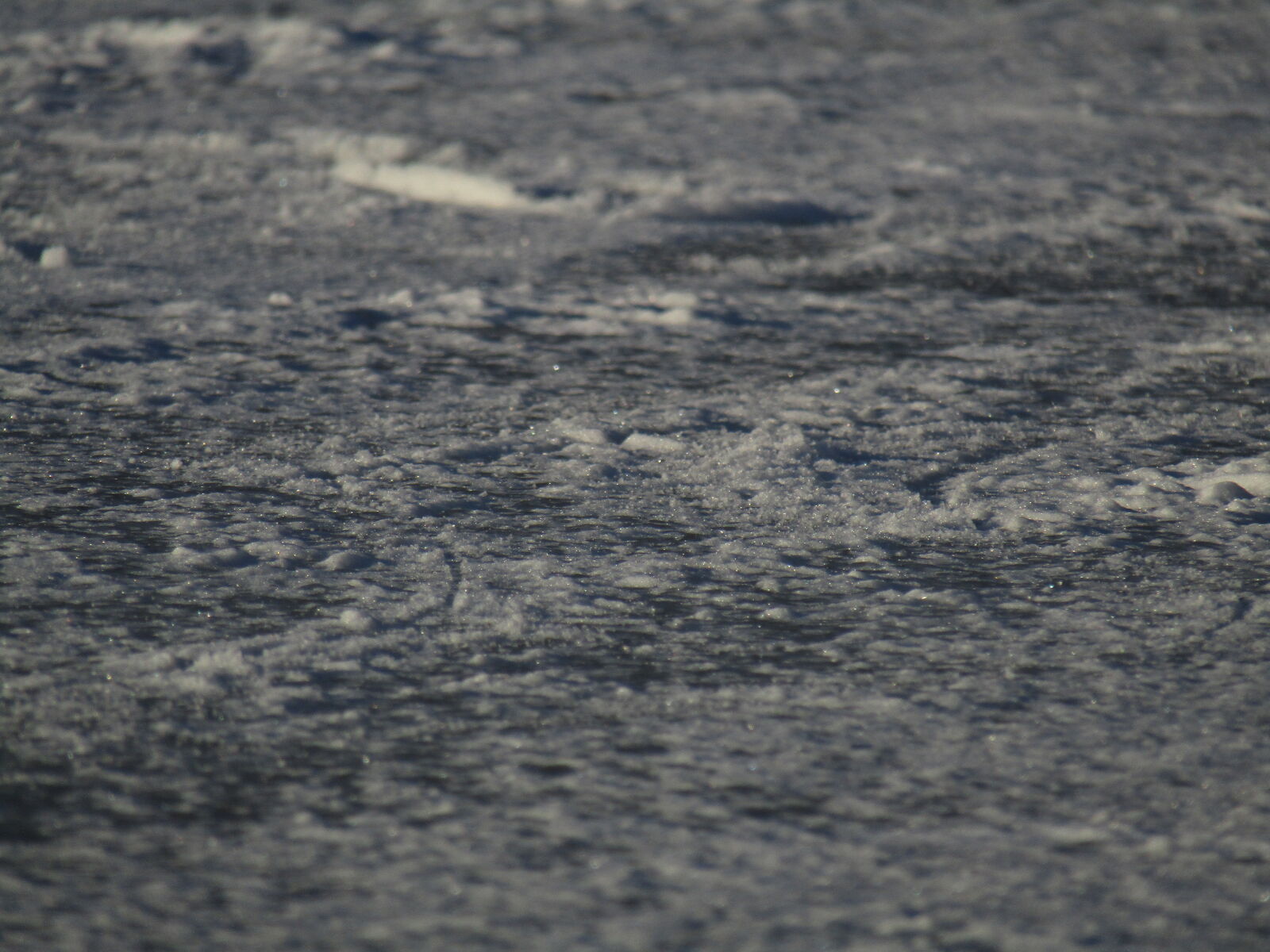 Canon PowerShot SX420 IS sample photo