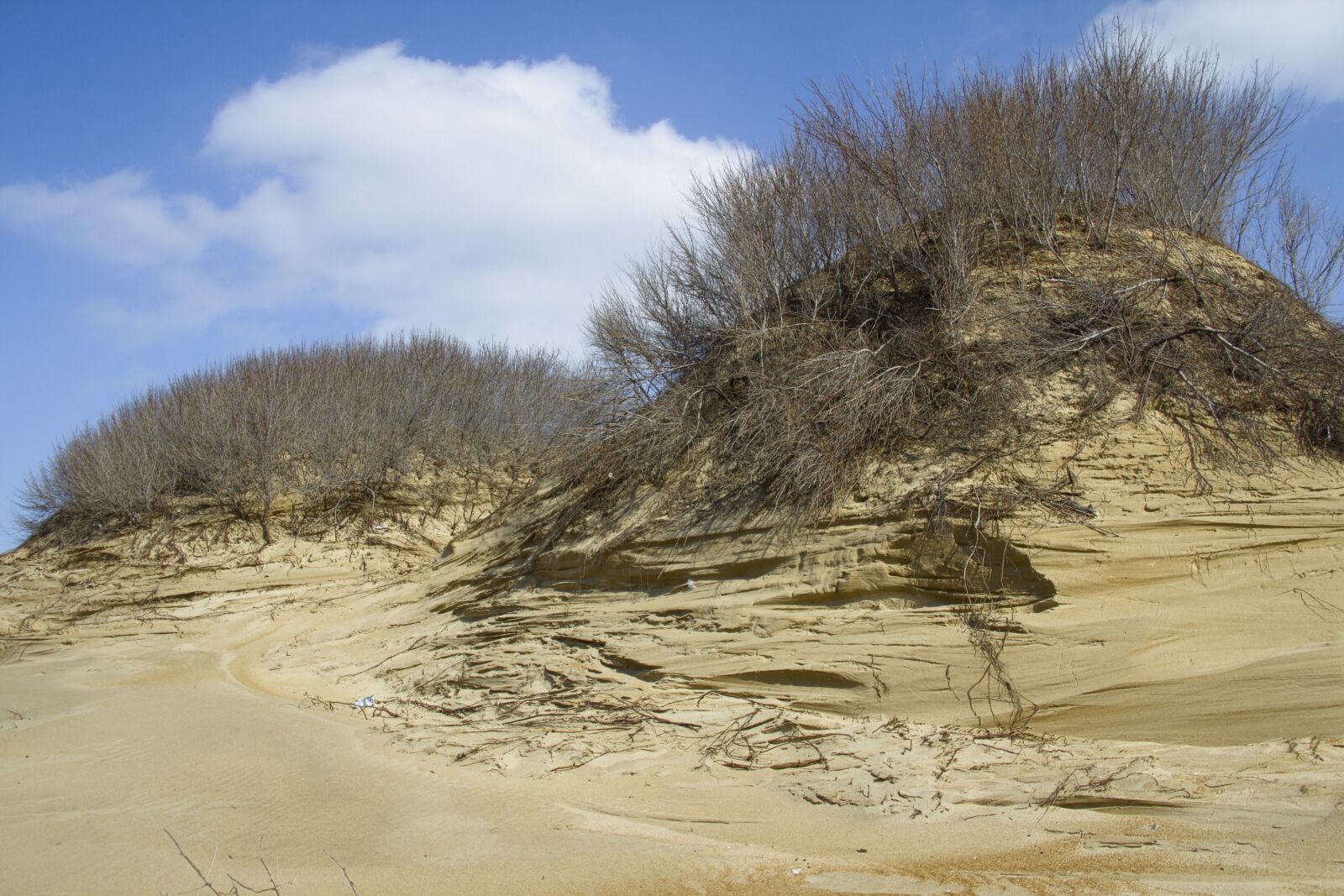 Canon EF-S 17-85mm F4-5.6 IS USM sample photo. Sea, dunes, sand photography