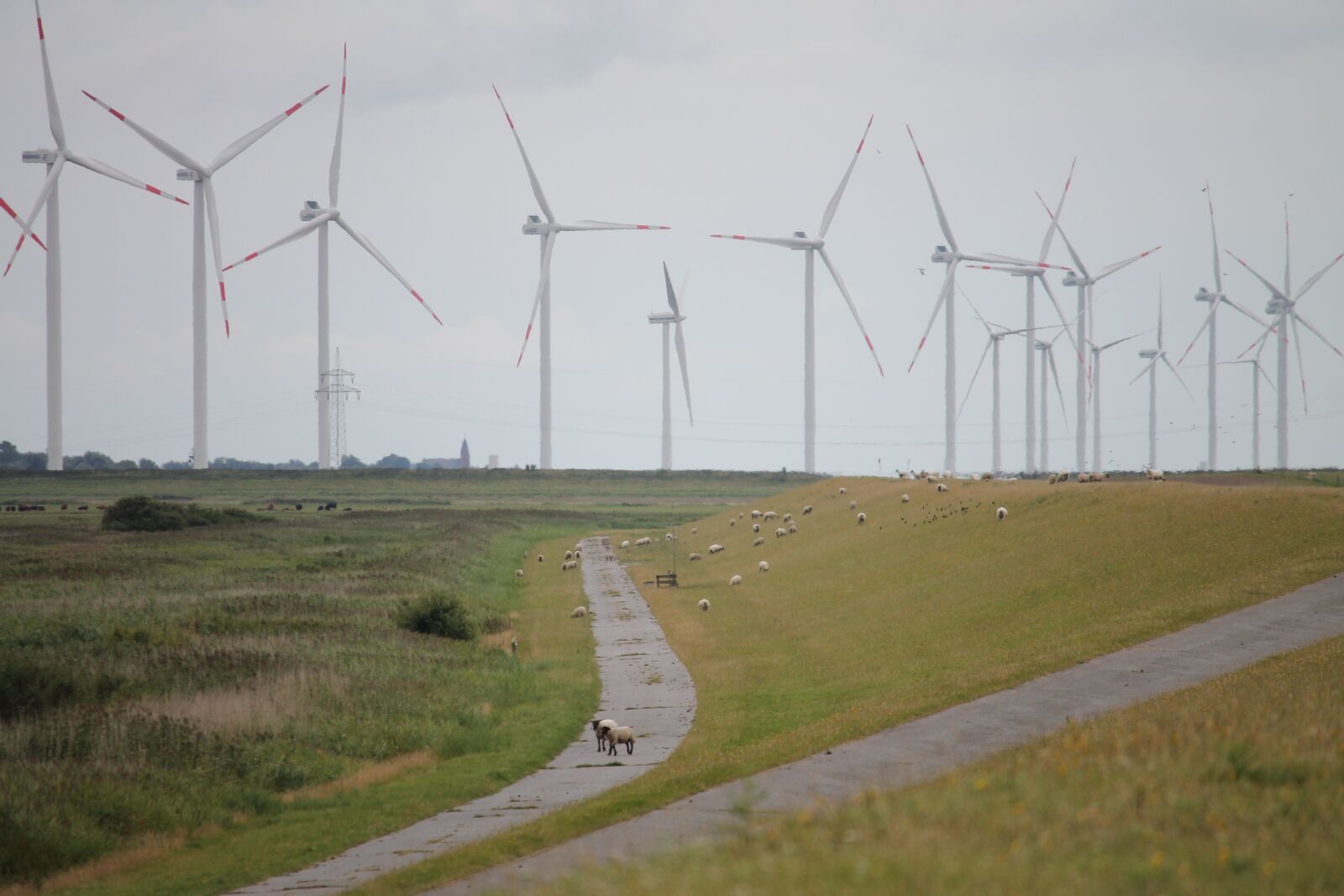Canon EOS 1100D (EOS Rebel T3 / EOS Kiss X50) sample photo. Windmills, wind park, ecology photography
