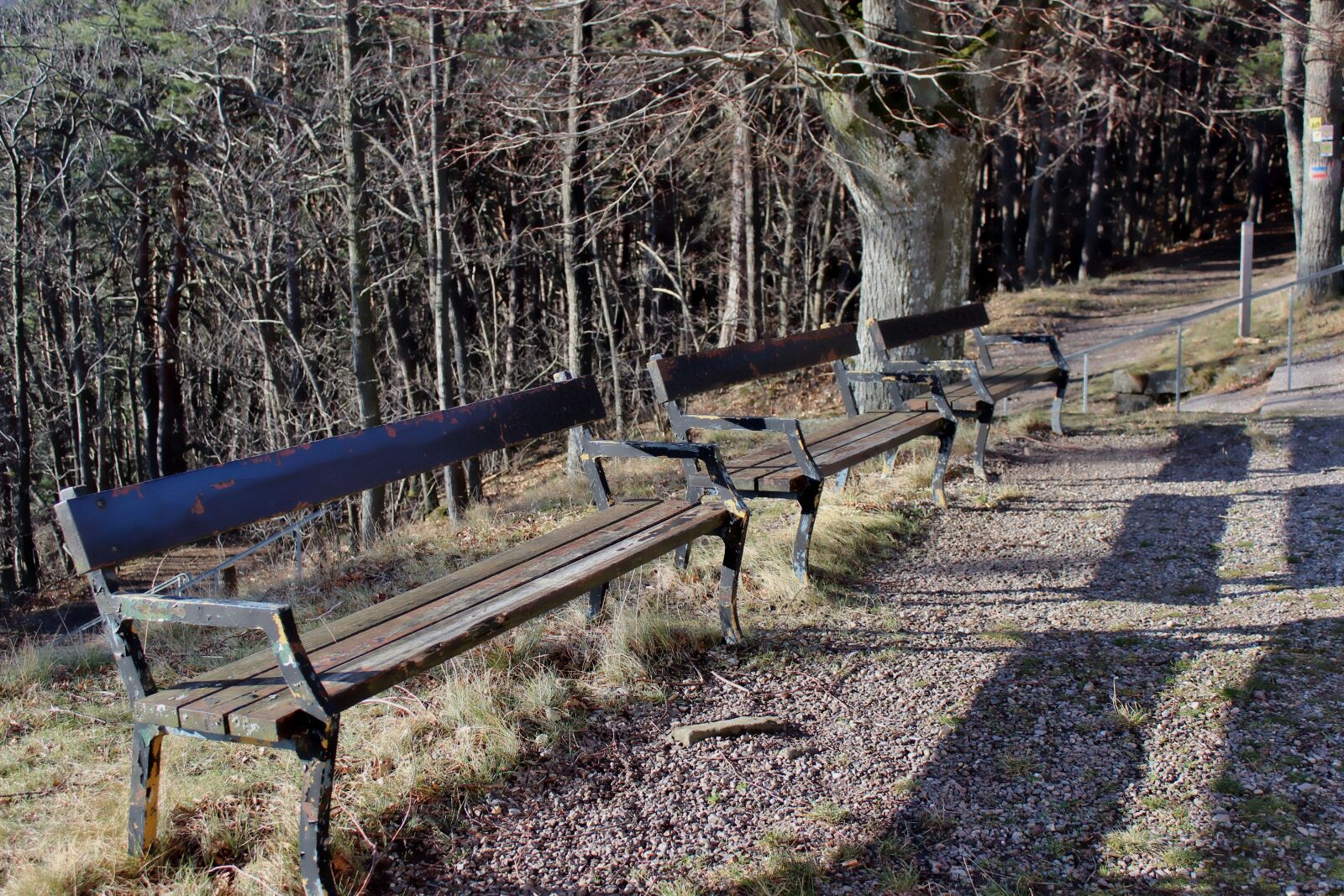 Canon EOS 600D (Rebel EOS T3i / EOS Kiss X5) sample photo. Benches, shadow, park photography