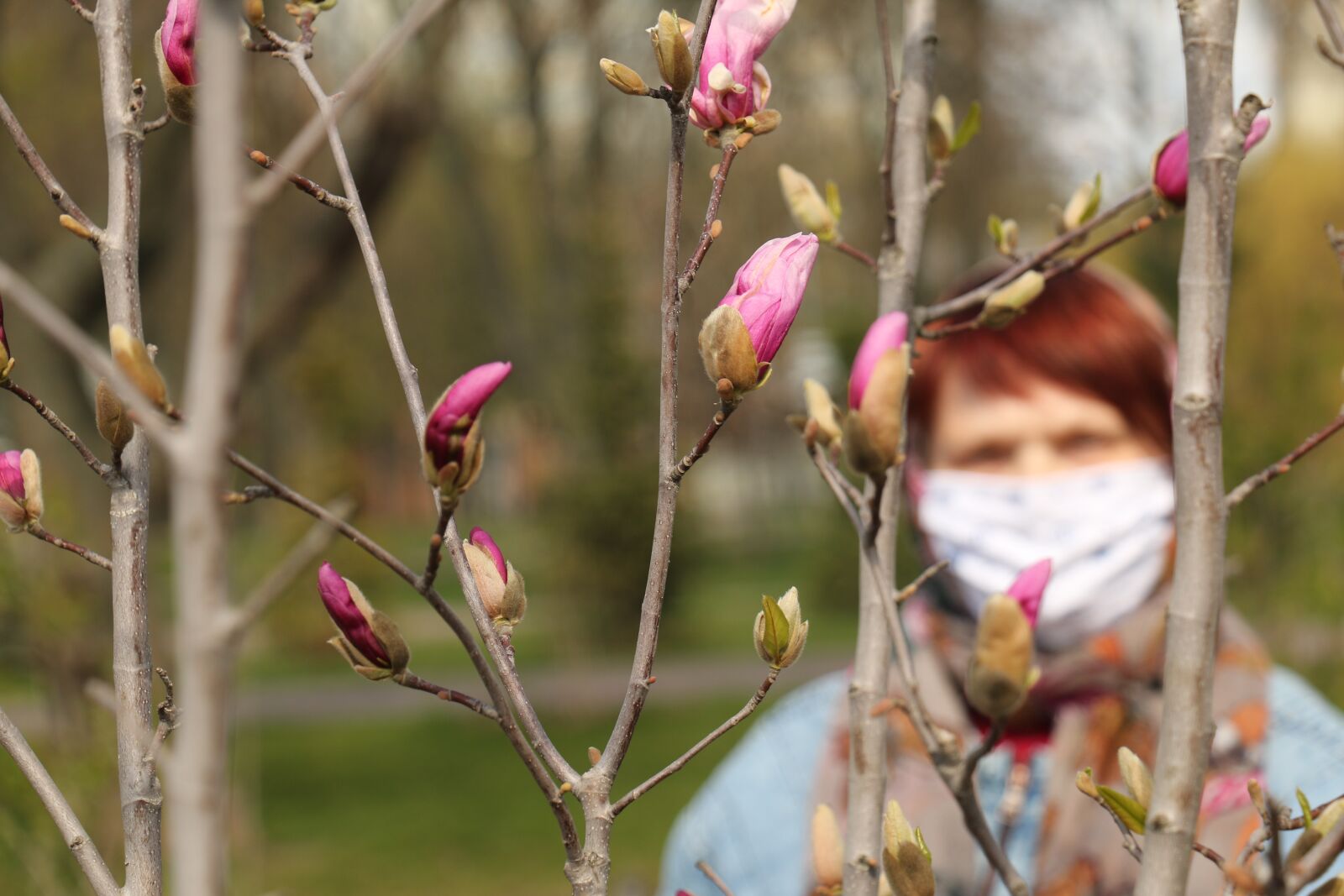 Canon EOS 70D sample photo. Spring, easter, magnolia photography