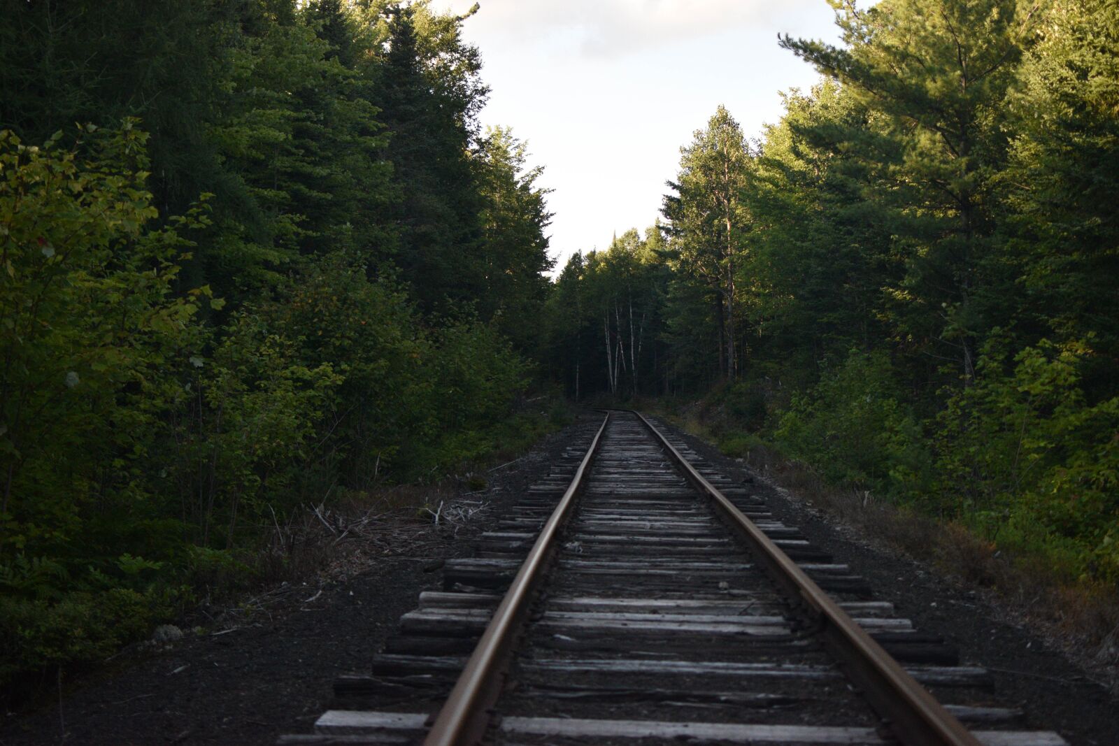 Nikon D3300 sample photo. Railroad, train tracks, tracks photography