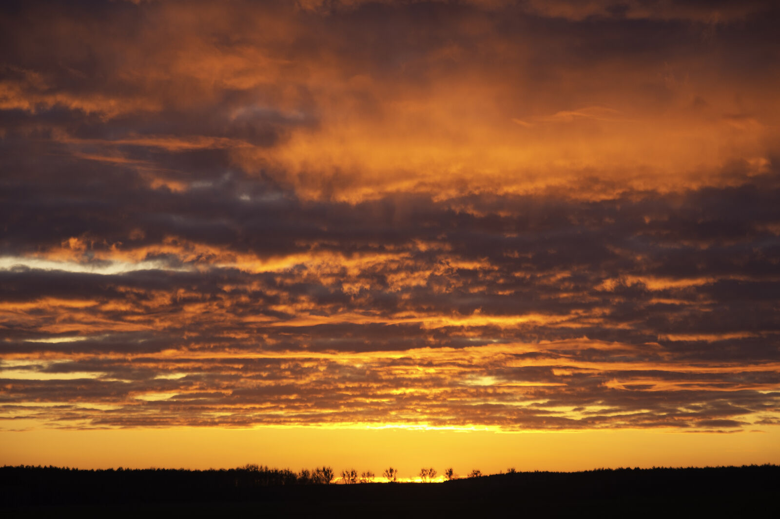 KONICA MINOLTA DYNAX 7D sample photo. Cloud, countryside, outdoors, sky photography