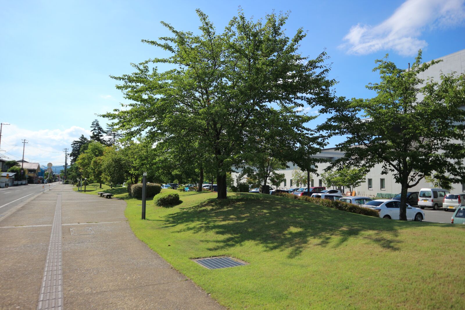 Canon EOS M10 sample photo. Yonezawa, in the early photography