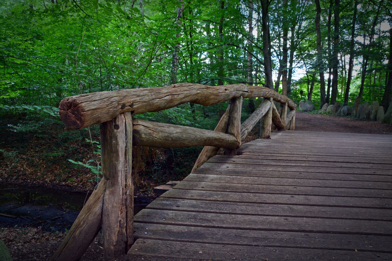 Nikon D5200 sample photo. Bridge, railing, forest photography