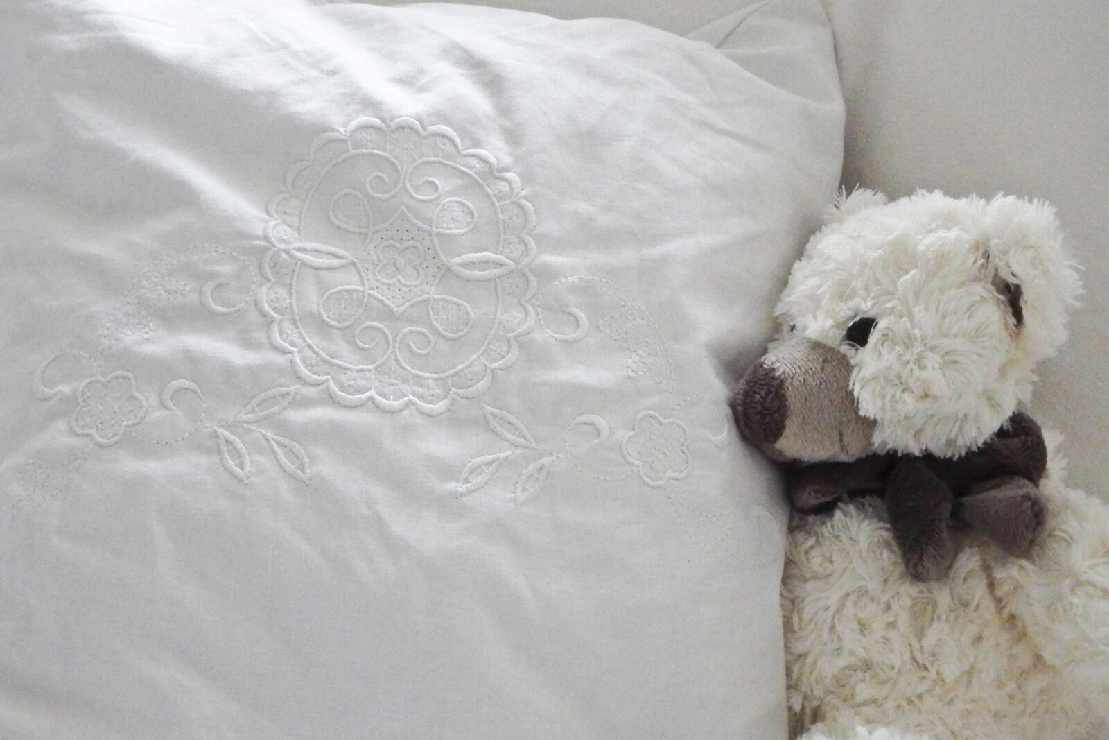 Fujifilm FinePix SL1000 sample photo. Teddy, toys, teddy bear photography
