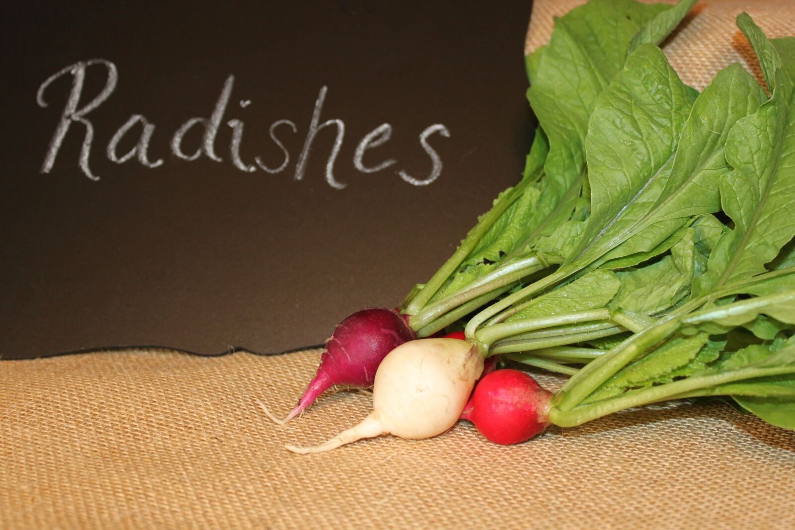 Canon EOS 500D (EOS Rebel T1i / EOS Kiss X3) sample photo. Radishes, vegetables, vegetarian photography