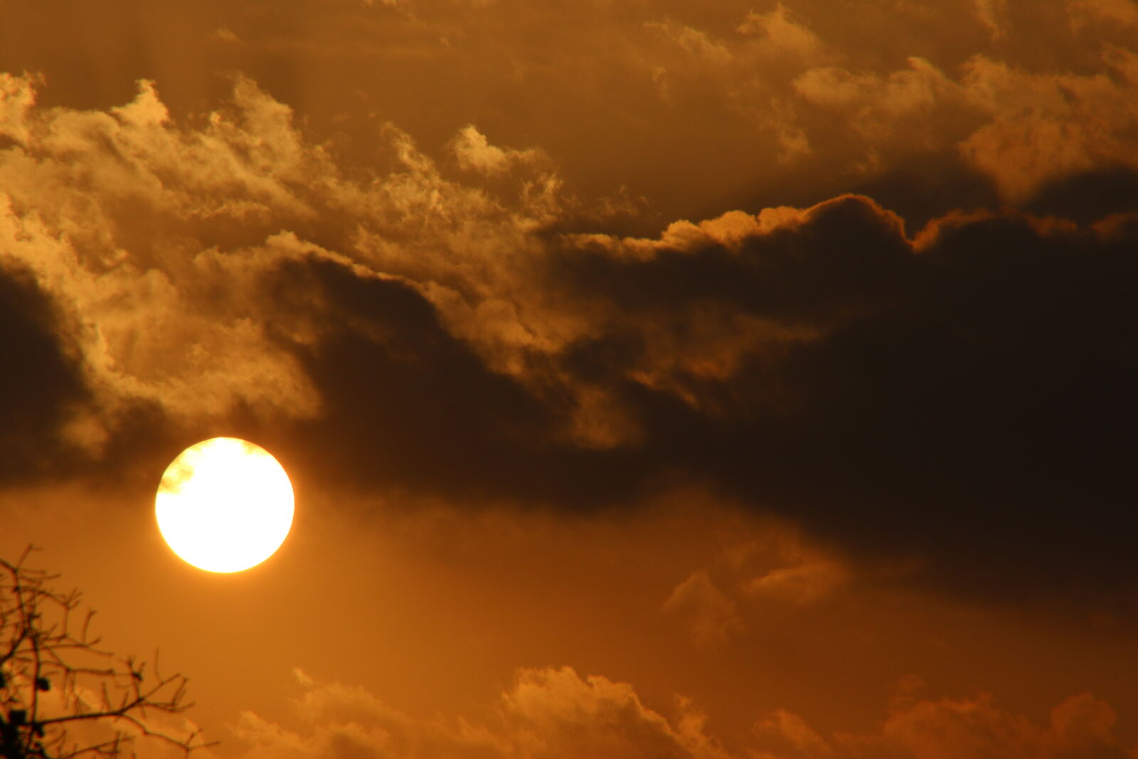 Canon EOS 7D Mark II sample photo. Africa, african, sunset, bush photography