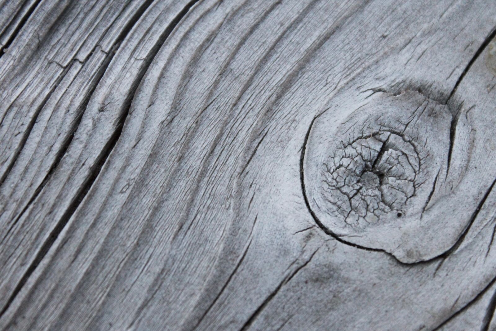 Canon EOS 1100D (EOS Rebel T3 / EOS Kiss X50) sample photo. Wood, plank, texture photography