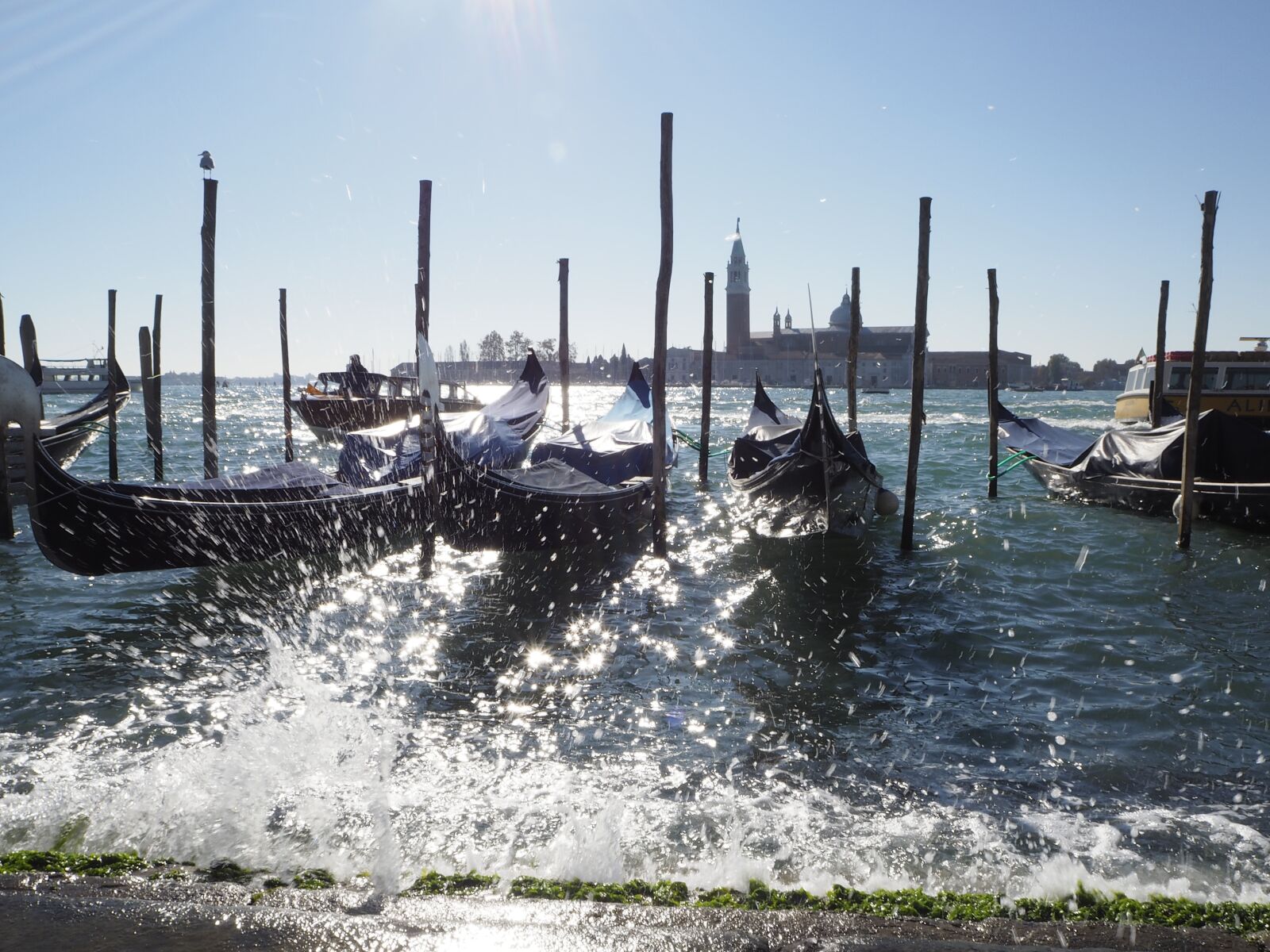 Olympus OM-D E-M10 sample photo. Venice, gondolas, italy photography