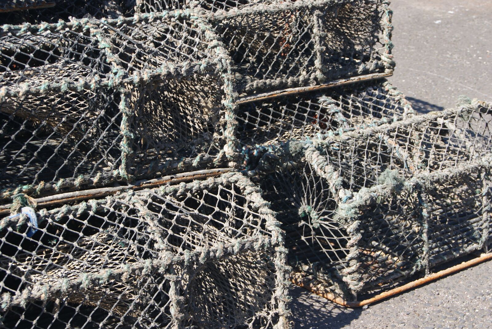 Sony Alpha DSLR-A230 sample photo. Fishing, pots, lobster photography