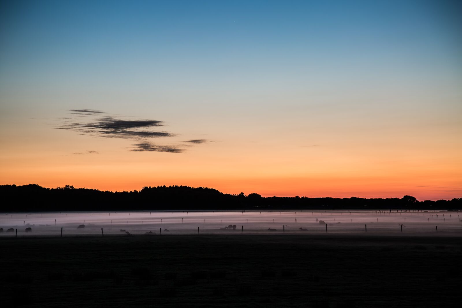Canon EF 24-105mm F4L IS USM sample photo. Sunset, meadow, forest photography