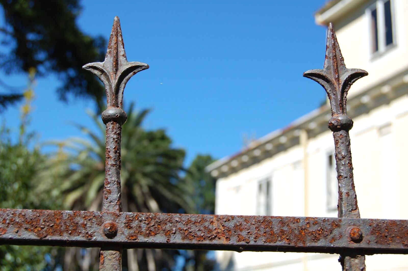 Nikon D40 sample photo. Fence, house, architecture photography