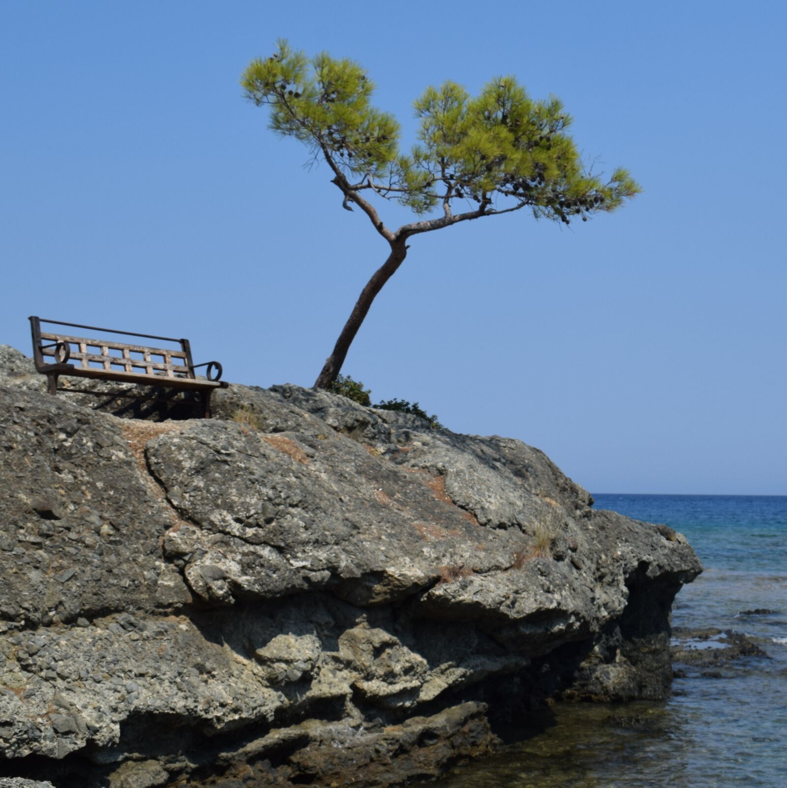 Nikon D5300 sample photo. Tree, landscape, nature photography