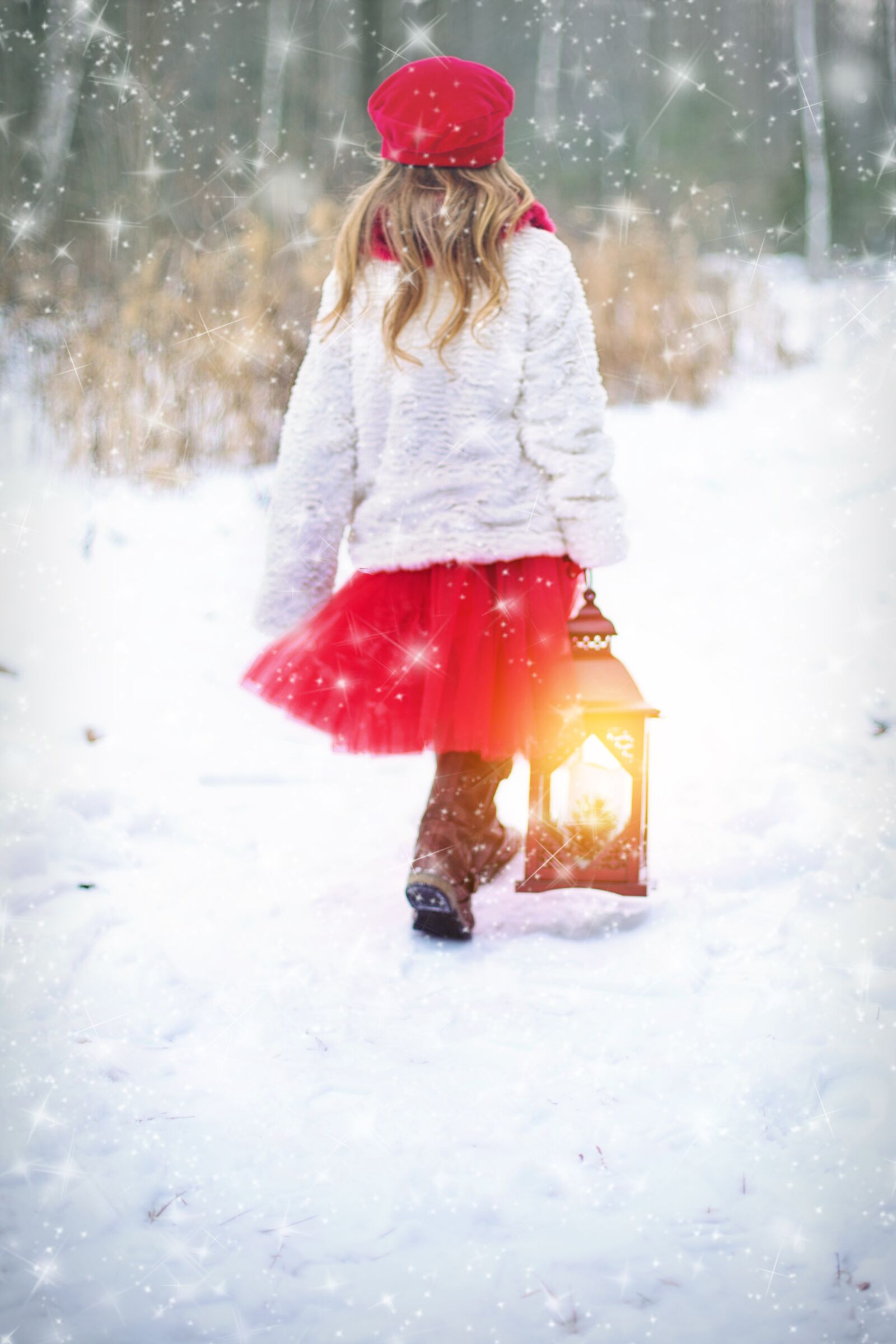 Canon EF 50mm F1.4 USM sample photo. Winter, snow, snowing photography