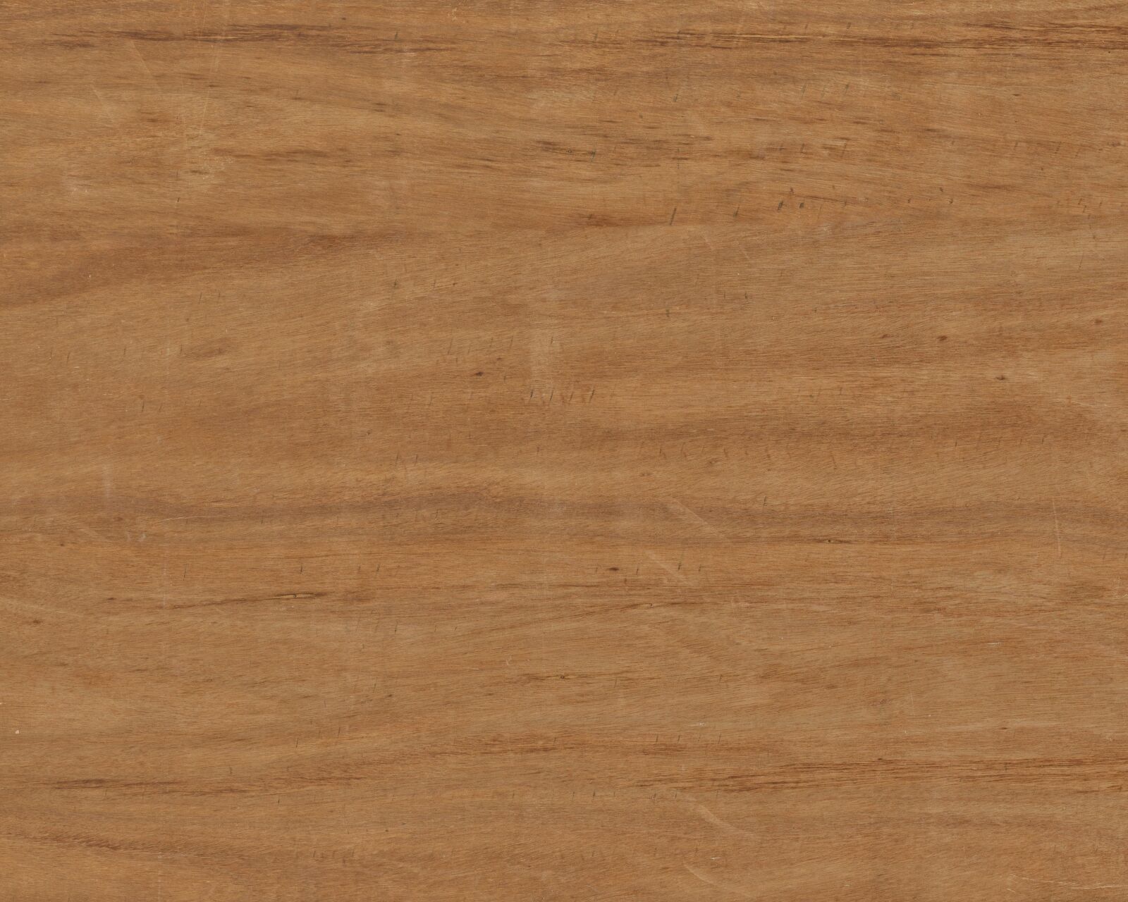 Nikon D750 sample photo. Wood, texture, material photography